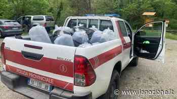 Prato, 60mila avannotti di trota immessi nei fiumi della provincia - LA NAZIONE