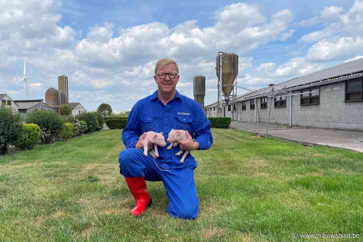 Varkenskweker Filip Huysman vreest dat zijn familiebedrijf het stikstofakkoord niet zal overleven: “Onze zoon Simon (21) heeft nauwelijks nog een toekomst”