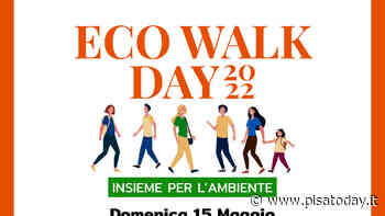 Dai rifiuti raccolti a un'opera d'arte con l''Eco Walk Day 2022' - PisaToday