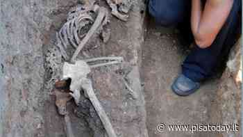 Contro un nemico invisibile. Archeologia del colera in Toscana - PisaToday