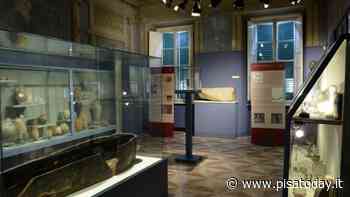 Notte Europea dei Musei 2022: il programma a Pisa - PisaToday