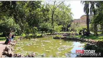 Boom di visitatori all'Orto e Museo Botanico dell'Università di Pisa - PisaToday