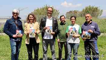 Un vademecum con i servizi per la tutela degli animali: già pronte 500 copie della brochure - PisaToday