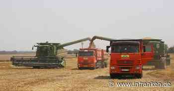 Putin erwartet Rekord bei Weizenernte in Russland