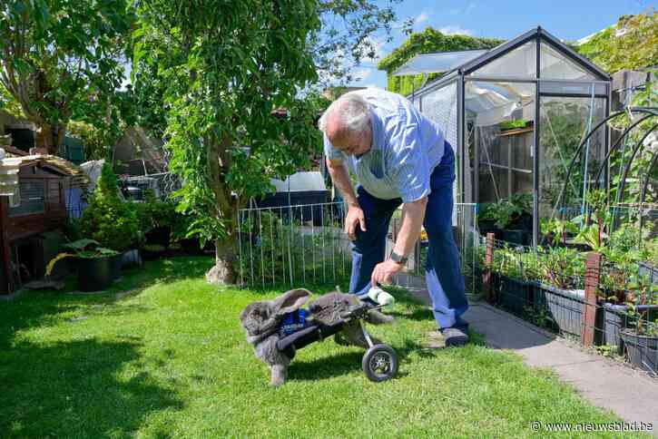 Invalide Vlaamse reus kan weer stappen dankzij innovatieve rolwagen