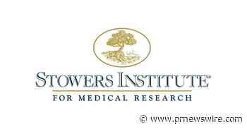 From cavefish to humans: Evolution of metabolism in cavefish may provide insight into treatments for a host of diseases such as diabetes, heart disease, and stroke