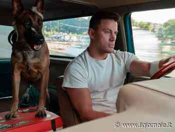 Channing Tatum: "Così abbiamo portato in scena i cani da guerra"