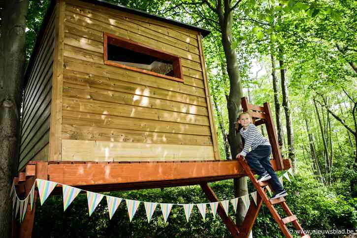 Arthur voelt zich koning te rijk: leerlingen Technisch Atheneum timmeren stevige boomhut voor jonge kankerpatiënt