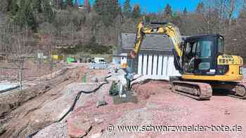 Tennenbronner Schwimmbad - Freibad wird erst fünf Wochen später eröffnet - Schwarzwälder Bote