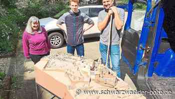 Kultur in Schramberg - Sonderausstellung im Schloss zu Burgenarchäologie - Schwarzwälder Bote