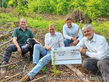 Steinen - 1700 junge Douglasien für Gemeindewald - www.verlagshaus-jaumann.de