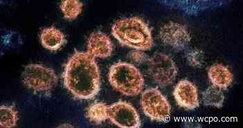 Coronavirus update: US nears 1 million COVID-19 deaths, latest Tri-State data - WCPO 9 Cincinnati