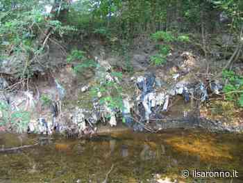 Ieri su ilS: il mancato ampliamento di Saronno sud, la battaglia di Illva contro Lidl, esagitato in viale Santuario - ilSaronno