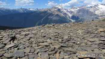 Parks Canada recovers 45 fossils stolen from Burgess Shale, levies $20,000 fine