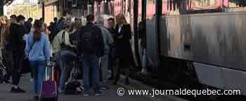 Des bourses d’études pour les réfugiés ukrainiens