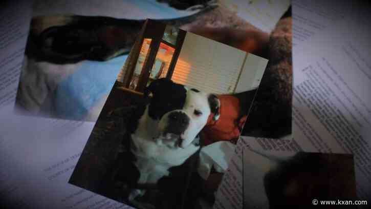 Want to look up your pet's vet? Some Texas records may be missing online