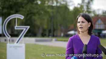 Selenskyj-Minister attackiert Berlin - Baerbock reagiert auf Kampfjet-Forderung