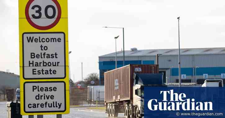 Experts scorn UK government claim it can ditch parts of NI protocol