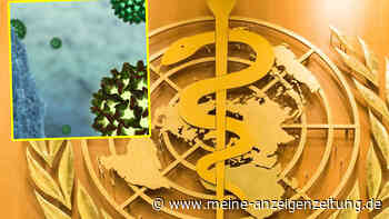 WHO prüft Zusammenhang von Hepatitis bei Kindern mit Coronavirus