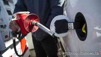 Stolen SUV being used for gas-and-dash thefts in Guelph: police - CTV News Kitchener