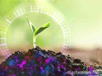 Exploring Underground Ecosystems: Scientists Identify New Soil Viruses