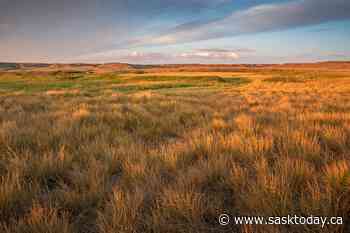 Opinion: Saskatchewan must halt the sale of Crown lands - SaskToday.ca