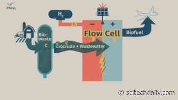Patent-Pending Technology Converts “Waste” Carbon Into Valuable Chemicals and Useful Elements