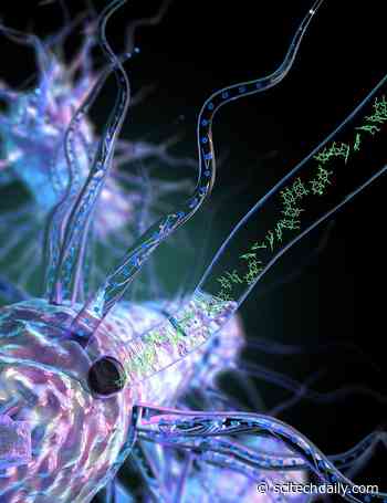 Surprising Bacterial Nanowire Discovery May Lead to Living and Self-Repairing Electrical Circuits