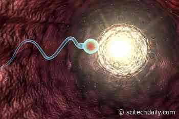 Increased Genetic Mutations in Children Can Be Traced Back to Mistakes in Father’s Sperm