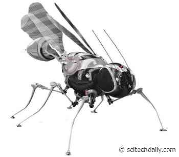 NeuroMechFly: A Morphologically Realistic Biomechanical Model of a Fly