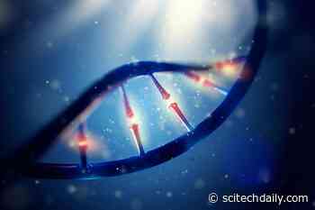 Gene That Shapes Mutation Rate Discovered in Mice