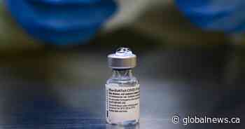 COVID-19: Saskatchewan reports 766 cases last week, 52% of adults have booster - Global News