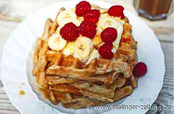 ProVeg-Fildergruppe in Ostfildern - Fleischlos glücklich für das Klima - esslinger-zeitung.de