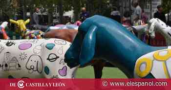 Exposición de 'Ovejas Cheese Fromago Experiencie' de la Diputación de Zamora en Valladolid. - EL ESPAÑOL