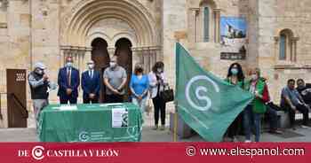 Zamora hace suya la bandera de la lucha contra el cáncer - EL ESPAÑOL