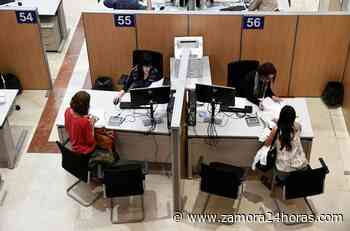 Varias empresas ofertan casi 30 nuevos puestos de trabajo en Zamora - Zamora 24 Horas