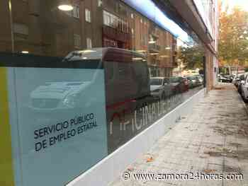 Abierto el plazo para solicitar las nuevas ayudas a desempleados en Zamora: esto es todo lo que necesitas s... - Zamora 24 Horas