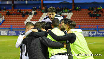 El Zamora CF se acerca a la salvación - Zamora 24 Horas
