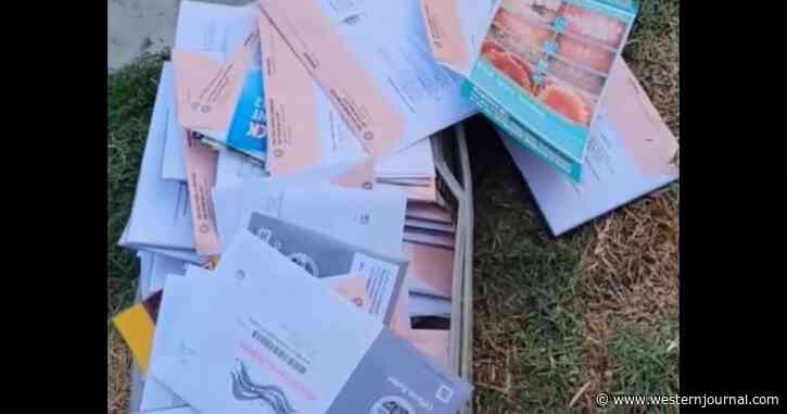 Woman Finds Box of Over 100 Mail-in Ballots on LA Street, Authorities Say It's Not Their Problem
