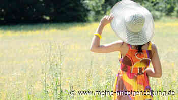 Wetter im Juni, Juli und August: Sommer-Prognose ist da