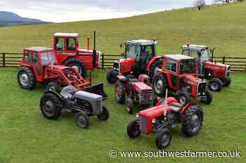 Massey Ferguson vintage tractors sold for Alan Bancroft - South West Farmer