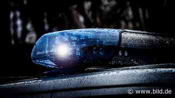 International gesucht, in Calw geschnappt: Spezialkräfte nehmen Mafioso (42) fest - BILD