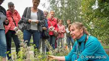 Herdecke: Frühlingskräuter bei Tour an der Ruhr entdecken - WP News