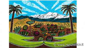 Piante faro: il Mediterraneo ha messo radici a Giarre - la Repubblica