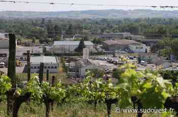 Dordogne : Pécharmant, un vignoble aux portes de Bergerac - Sud Ouest
