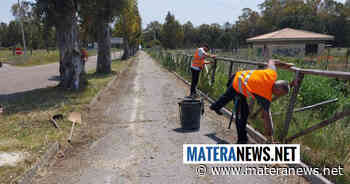 Pisticci: Provincia di Matera impegnata in interventi di manutenzione delle zone costiere del metapontino. Ecco le foto - Matera News