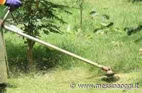 Scerbatura, il cronoprogramma di Messina Servizi Bene Comune - Messina Oggi