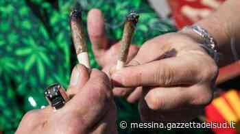 Messina, detenzione di marijuana: messa alla prova per un 25enne - Gazzetta del Sud - Edizione Messina