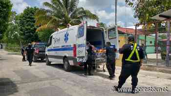 Vendedor de cocos cae desde una palmera en Ticul y es trasladado a un hospital de Mérida - PorEsto