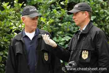 'NCIS': Mark Harmon's Gibbs and Michael Weatherly's Tony DiNozzo Might Return, Says Sean Murray - Showbiz Cheat Sheet